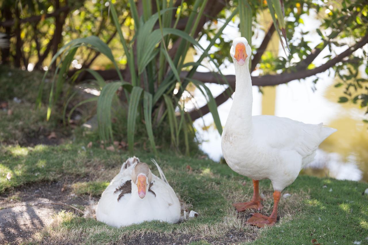 Moulin Sur Mer Beach Resort Montrouis Bagian luar foto